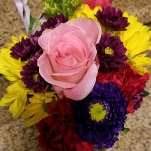 Meet your Posher, Lorraine